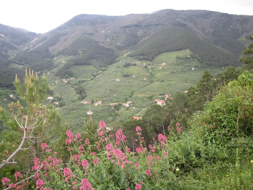 Bed & Breakfast Bed And Breakfast Zia Calci