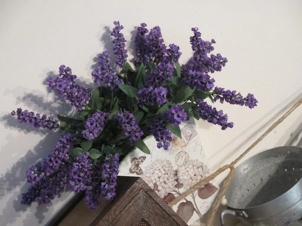 Bed And Breakfast Zia Calci Bed & Breakfast