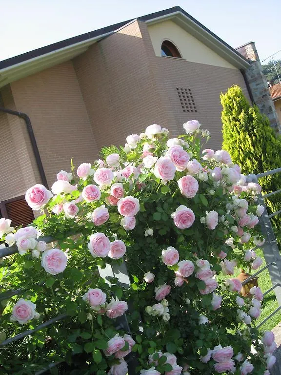 Bed And Breakfast Zia Calci Italy