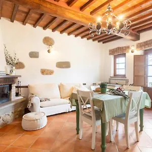 Casa vacanze Olive House Tuscany - Zona Pisa, Calci